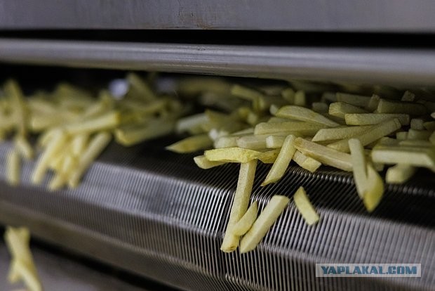 Во Франции возникли проблемы с картошкой фри