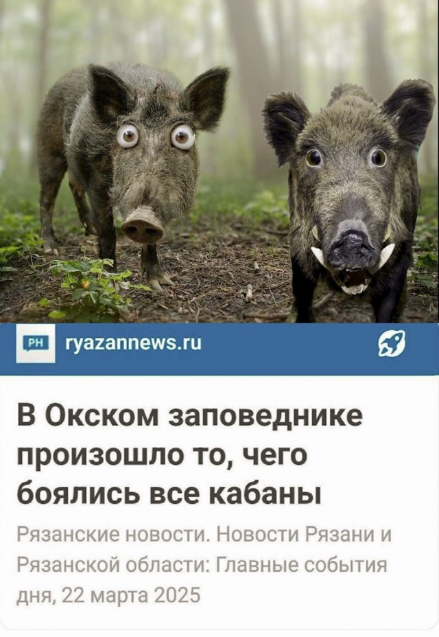 Киберзапугивание на венгерском языке и другие картинки