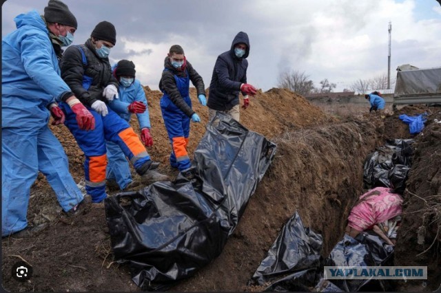 В России построят семь суперколоний.