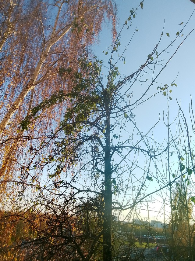 Осень