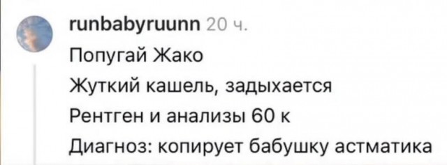 Картинки для деградации 307 (разной степени свежести)