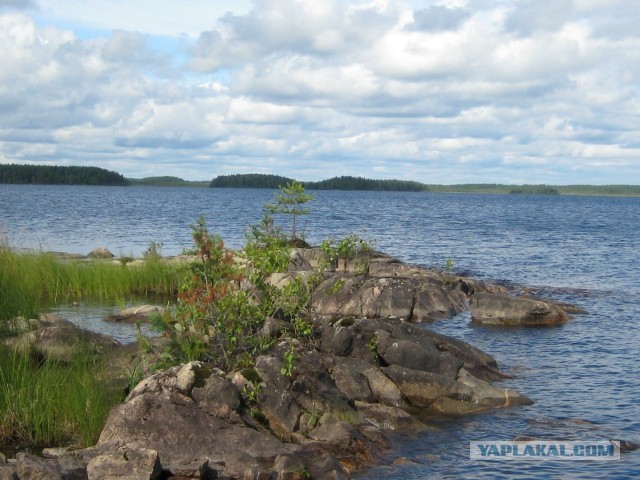 Отпуск в Карелии 2013
