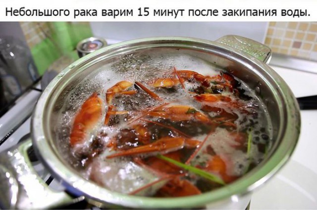 Как правильно варить раков...