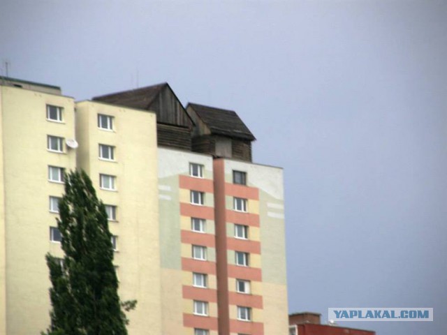 Подборка весёлых картинок