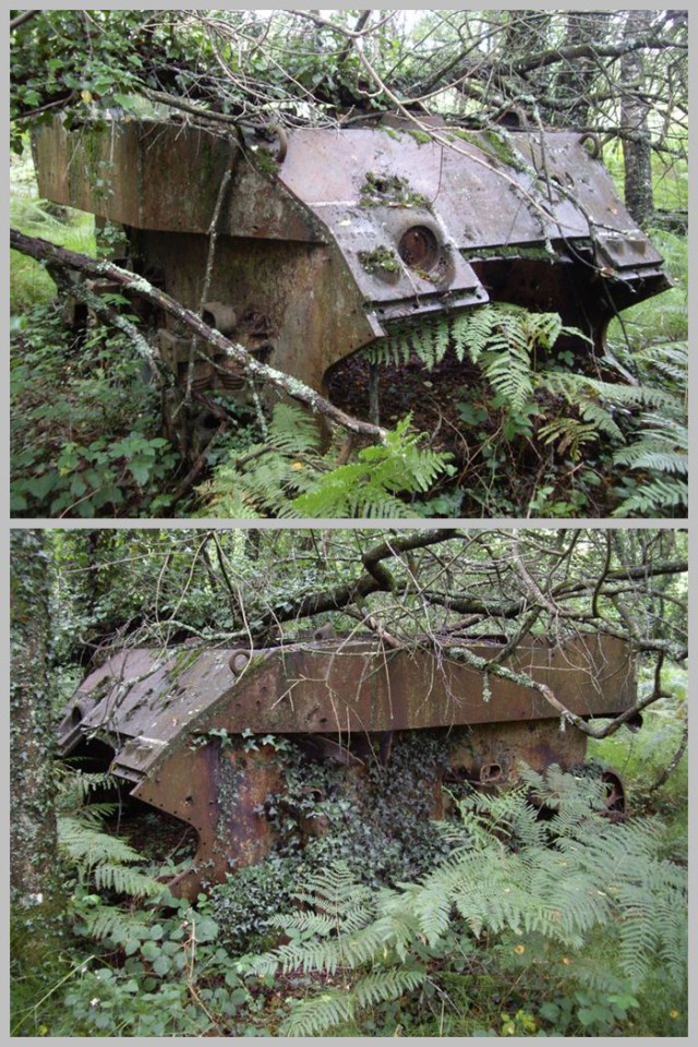Wargaming 16