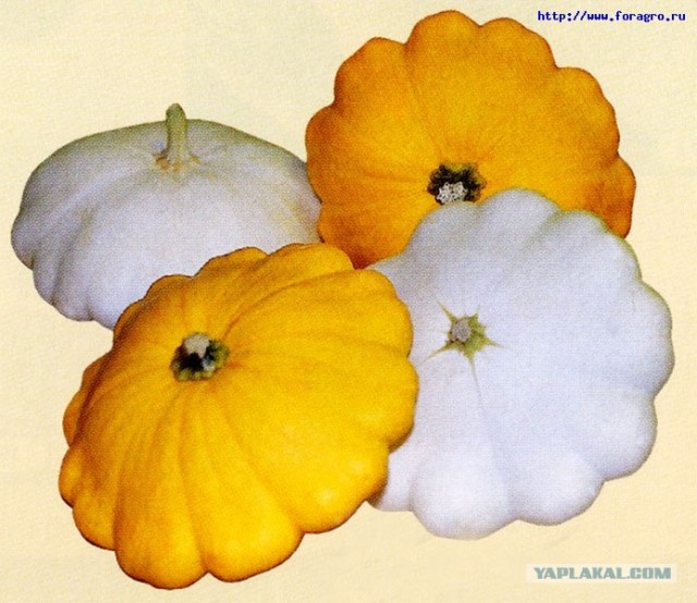 Ассоциации с актёрами