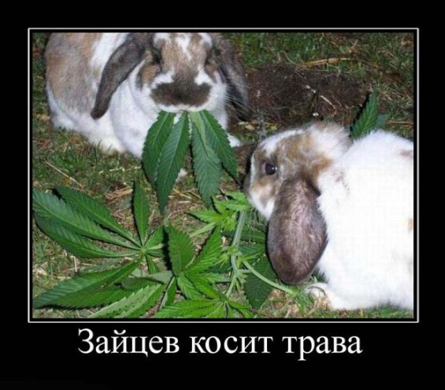 Пятничная подборка