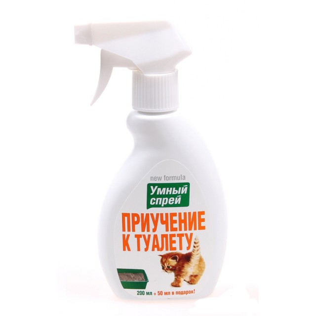 Котовторник помоги!
