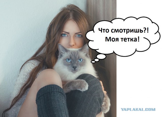 Глазища