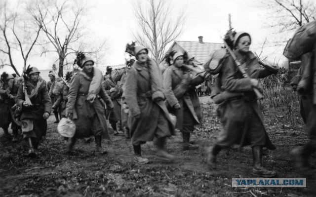 Как сдавались в плен во Второй мировой войне