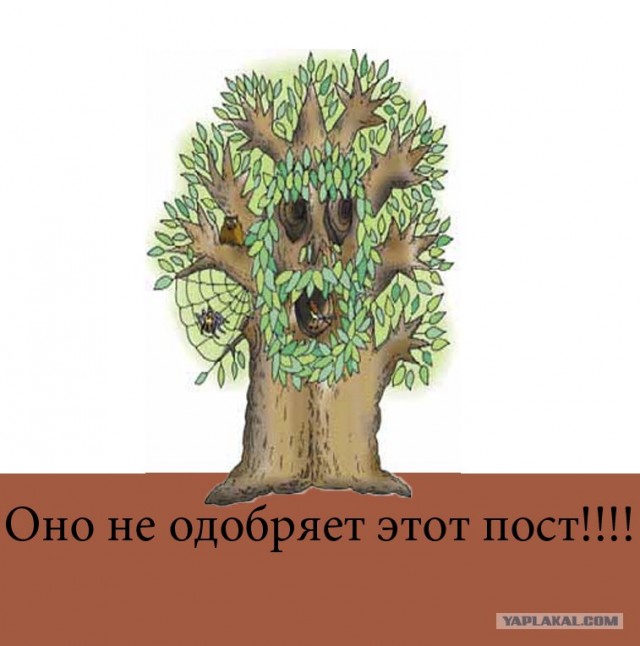 А если бы им еще и бензопилы дали...
