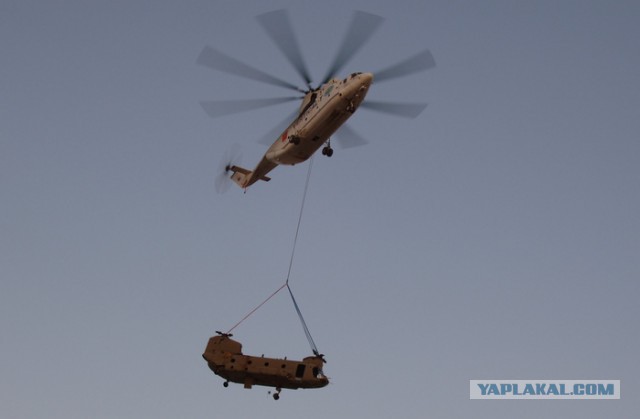 Уратоварищи!