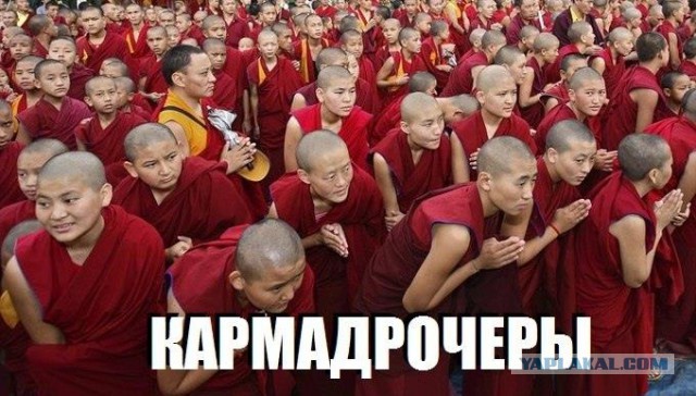 Прикольные картинки