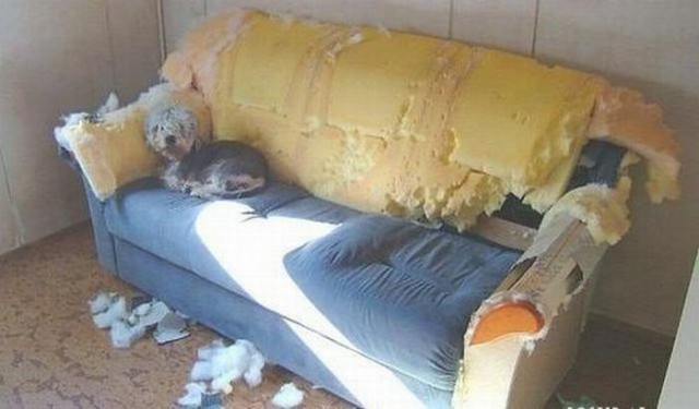 Весёлые картинки