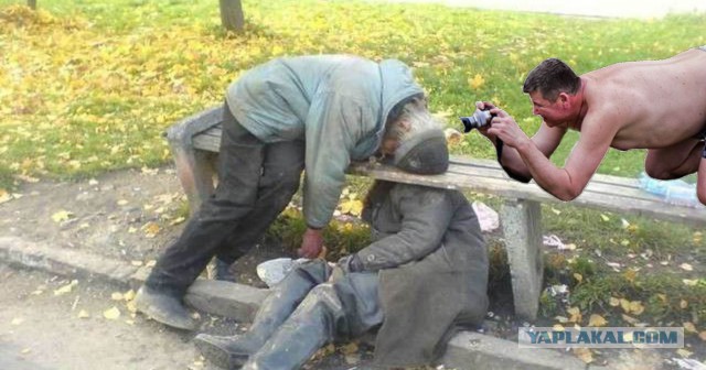 Жаба: Фотолюбитель
