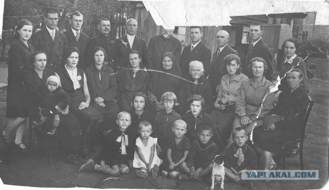 У кого дома есть подобное фото? Может ты мне родня?