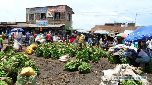 Отпуск в Африке, часть 2