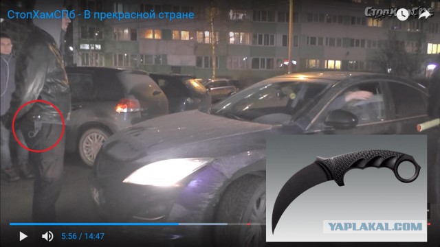 СтопХамСПб - В прекрасной стране