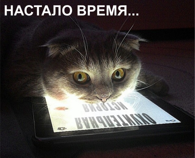 Сайты знакомств такая херь.