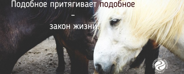 Слова жительницы Воронежа в адрес молодых чеченок заинтересовали центр «Э»