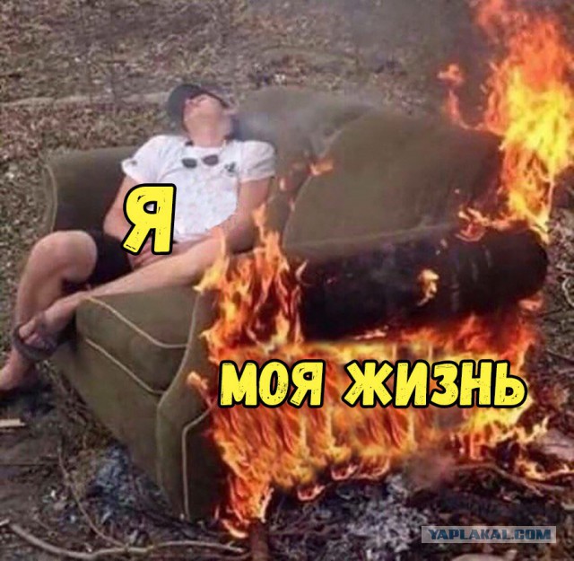 Скотсети и прочие интернеты 25.12.17