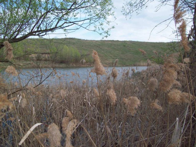 Просто Природа