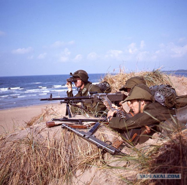 Шведская армия времен холодной войны