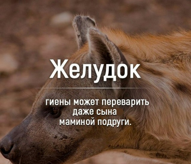 Специфичного юмора псто