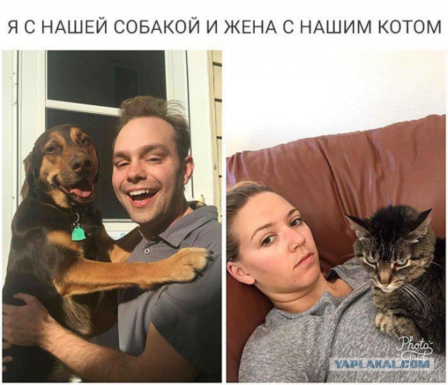 Смешные комментарии из социальных сетей 23.03.2018