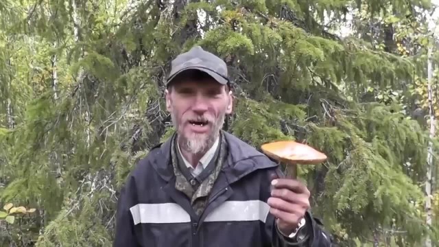 Итоги проверки пользователей