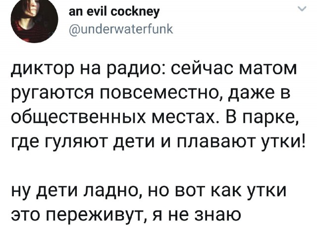 25 картинок на этот вечер