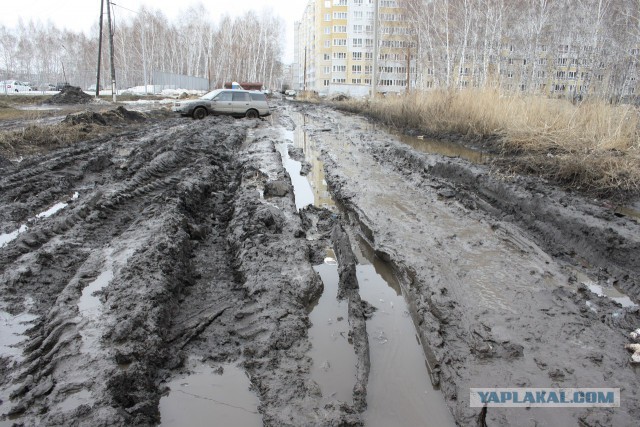 Почему в Москве столько «грязной жижи»: есть объяснение властей