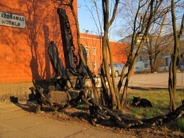 Котовторник 29.05.2012