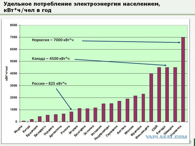 В Госдуме согласились с заявлением об энергорасточительности россиян