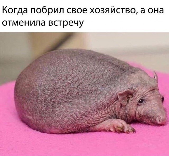 Мужская доля: после сорока лет, в одиночестве
