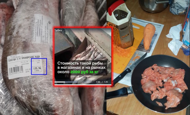 Чтобы не снижать цену на лосося, тонны свежей рыбы уничтожают