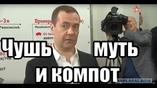 Украли компот и кисель