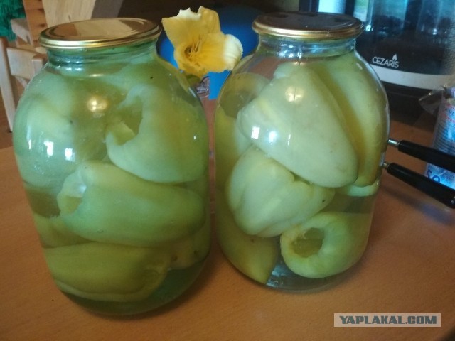 Запасаем перцы на зиму