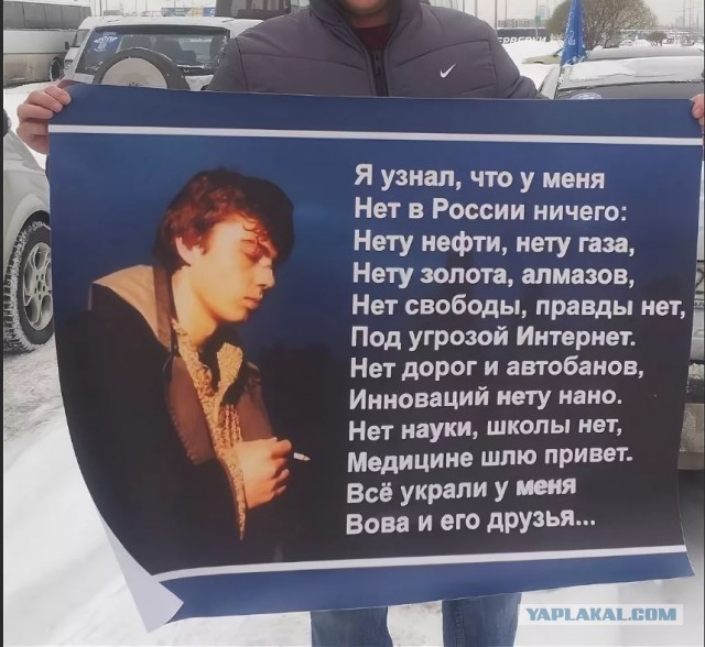 Власти взяли под контроль сбор грибов, ягод и берёзового сока