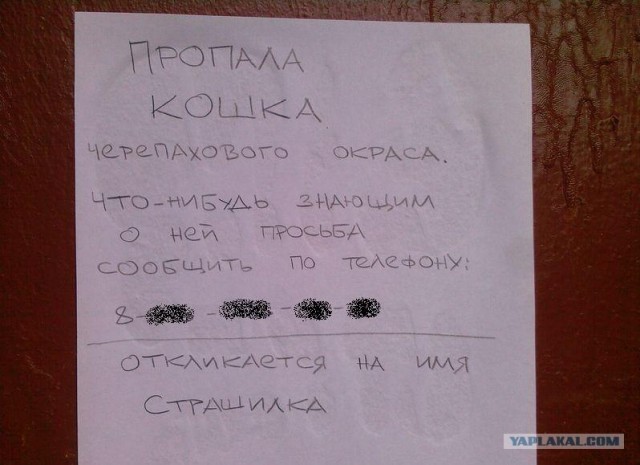 Пропала страшилка!
