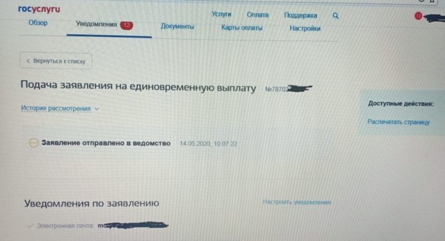 Почему государство не может оказать помощь хотя бы детям без дополнительных условий?