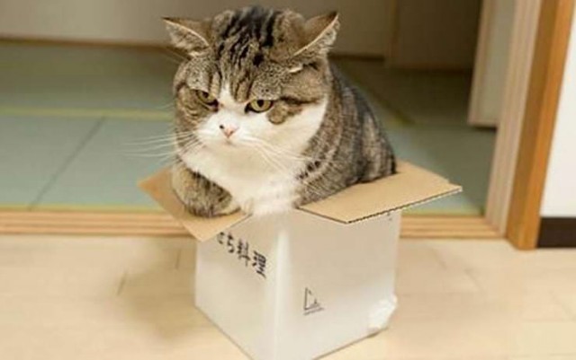 Периодическая система кото-элементов