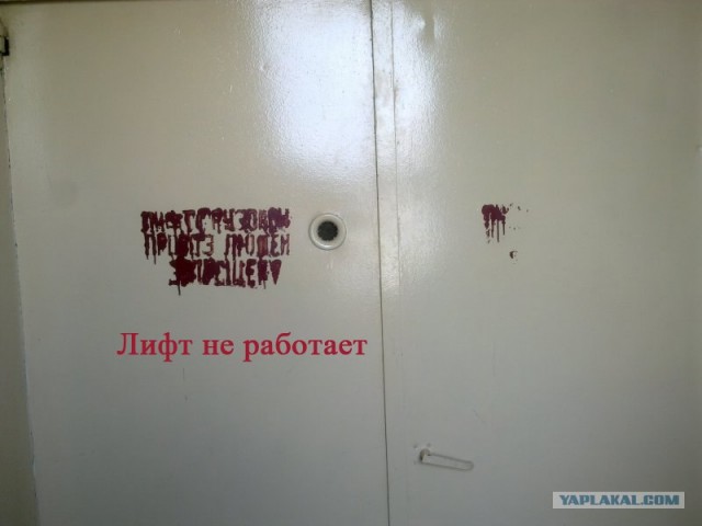 Фотожаба: Веселый больничный лифт