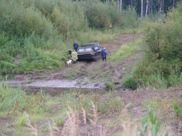 Натурное обследование
