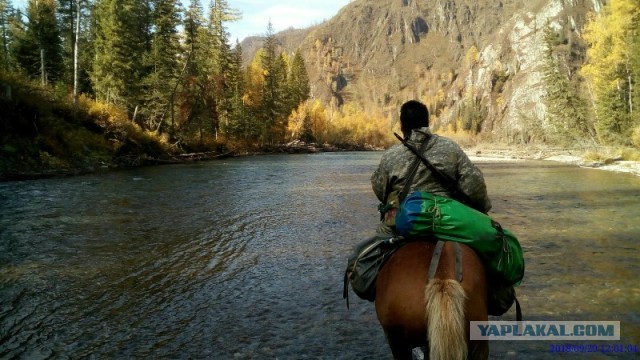 На конягах по Алтаю