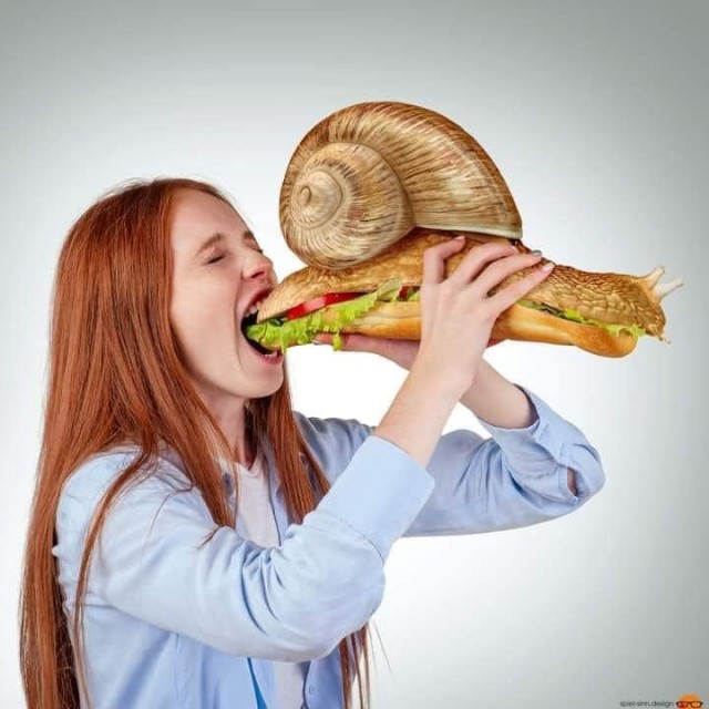 Crazy Art "С наступающим"