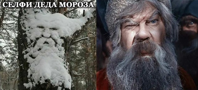 Бредзона 24.12.20