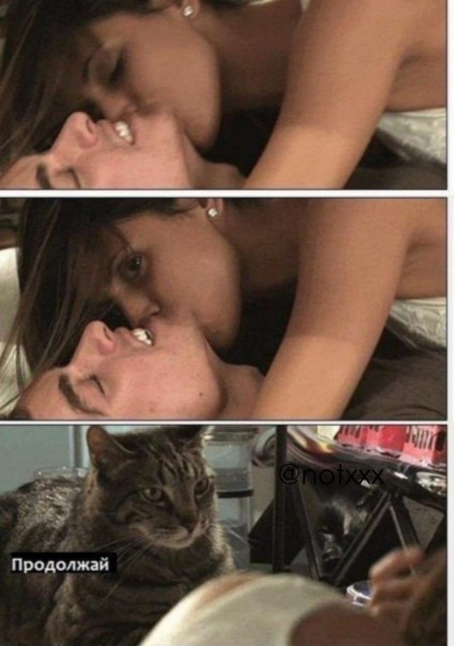 Отовсюду обо всём
