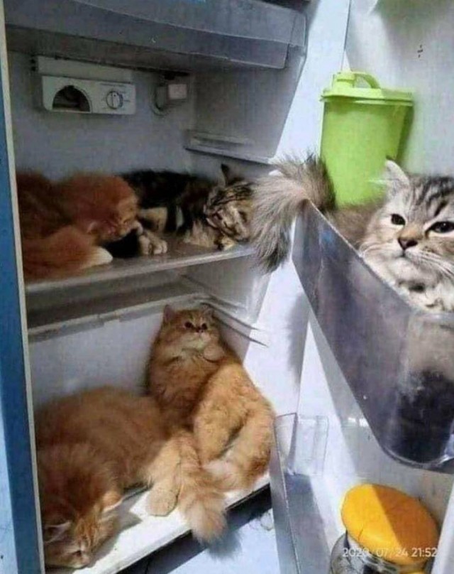 Картинки на выходные