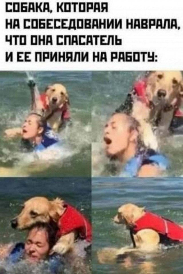 Картинки и мемы для настроения 12.08.2021